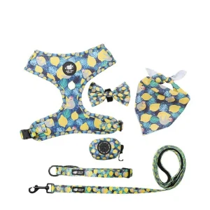 Set di 6 pezzi di limoni gialli piccoli